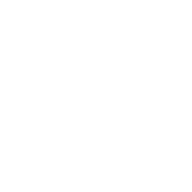 ScreenWeaver Logo