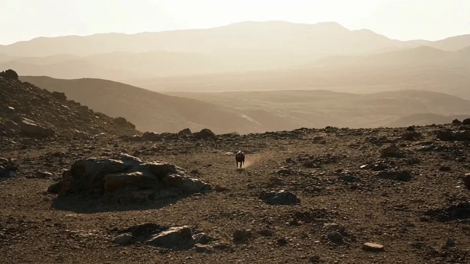 A vast rocky valley under a pale sky, a tiny dog running far away