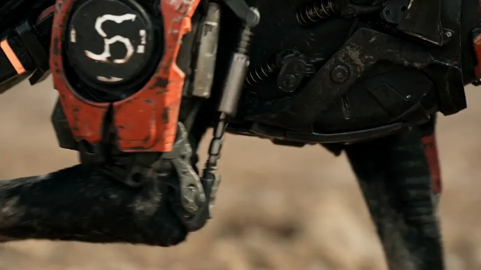 Close-up of a worn red armour plate with a white disc symbol on a dog's shoulder