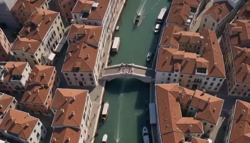Bird's-eye view