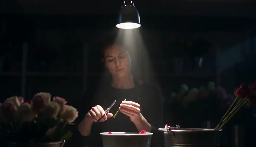 Chiaroscuro